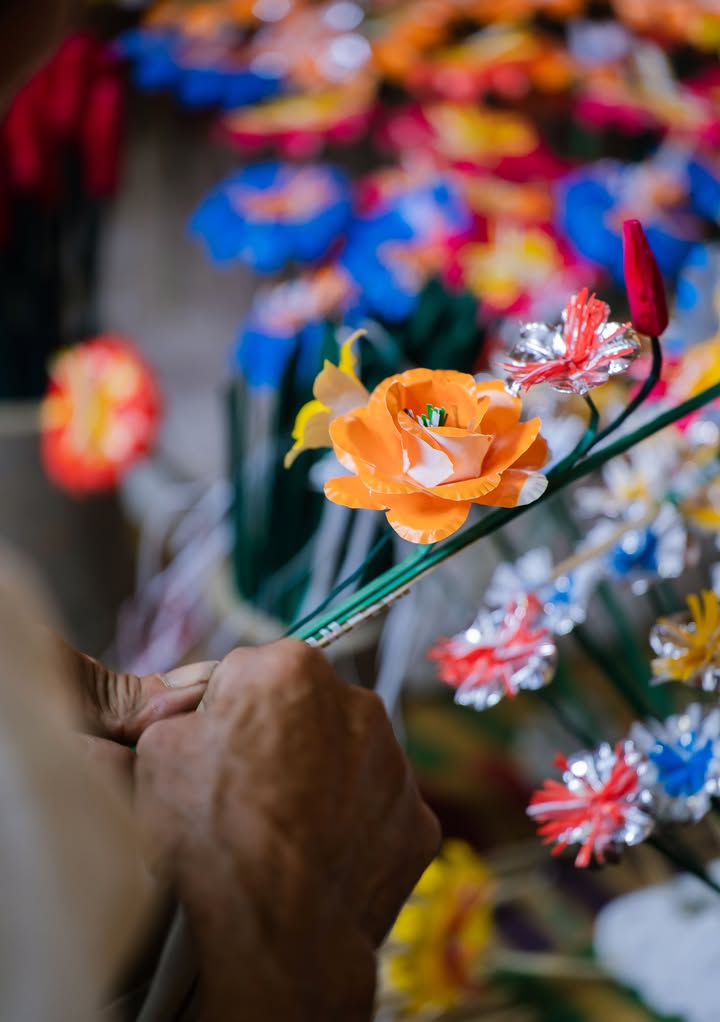 Cận cảnh 1 cành hoa