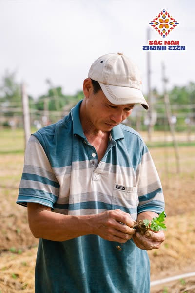 Người dân chuẩn bị cho vụ mùa Tết