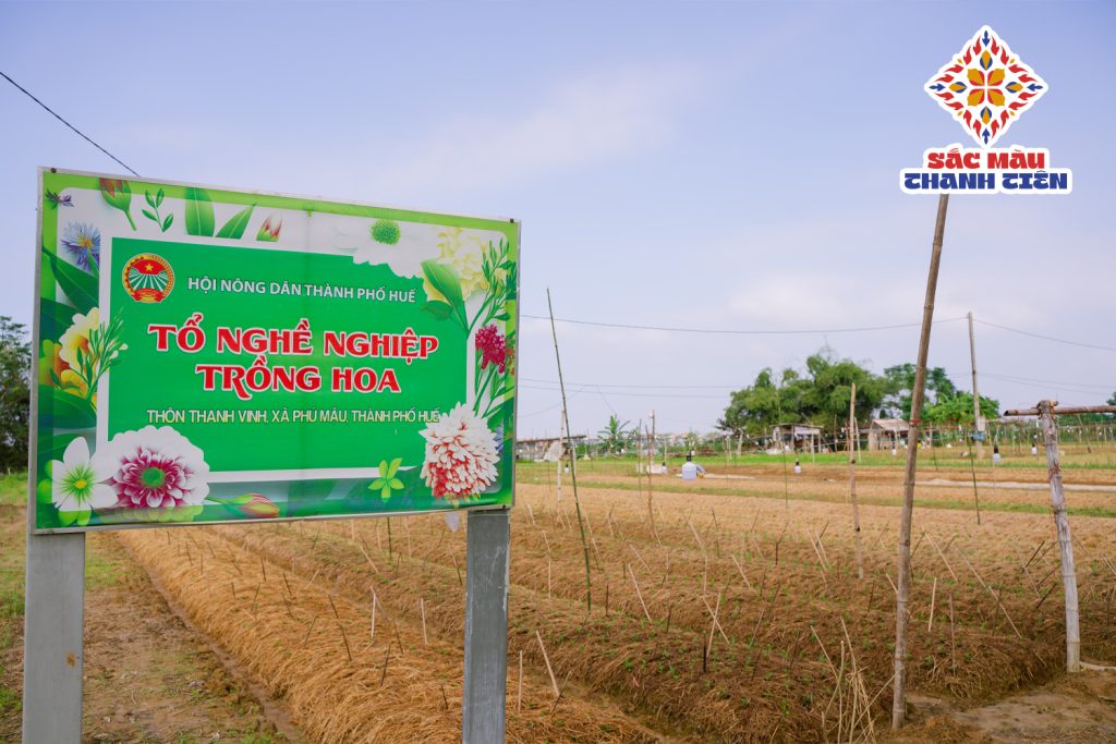 Phú Mậu - Địa điểm tham quan check in mỗi đợt hoa nở rộ