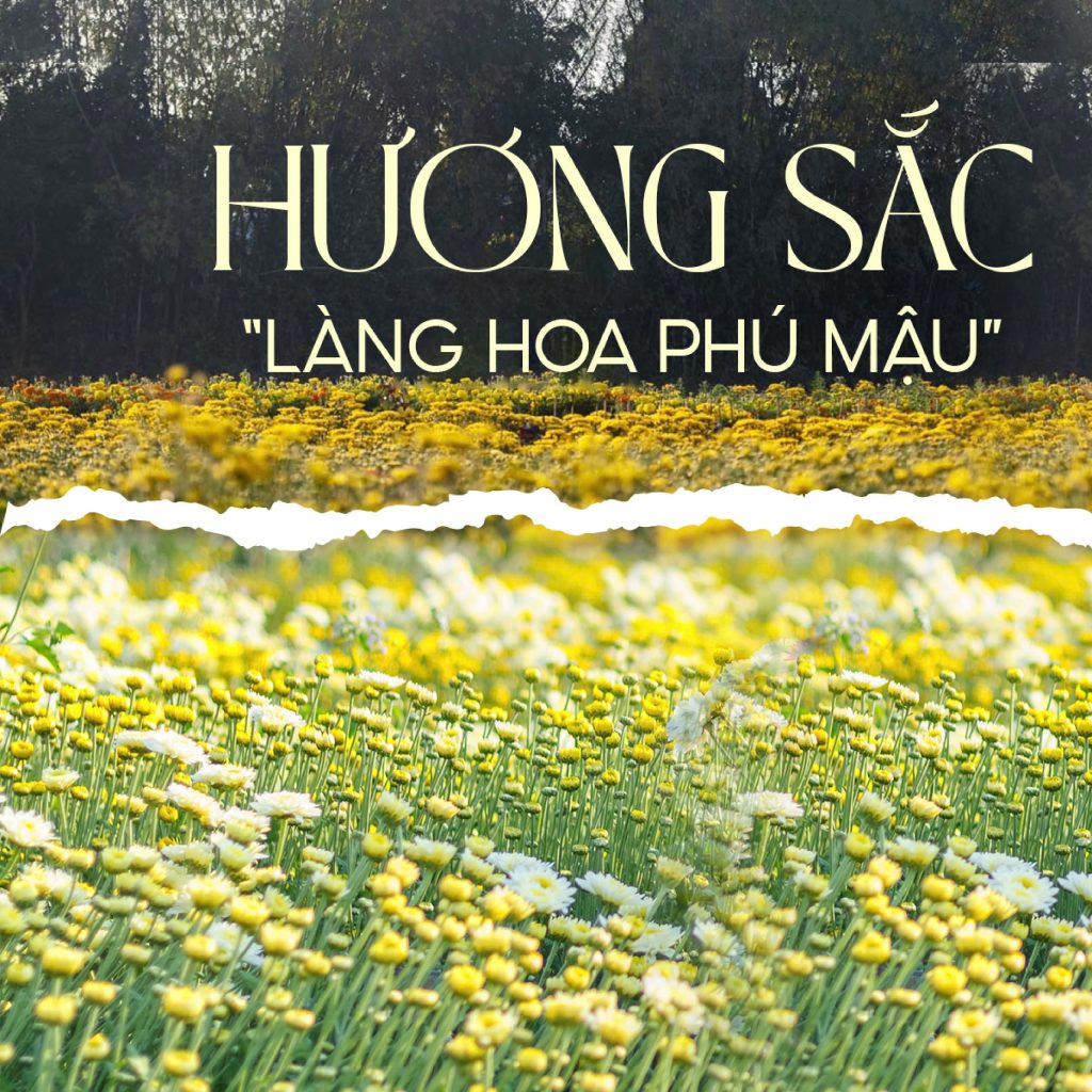 Hoa tươi Phú Mậu